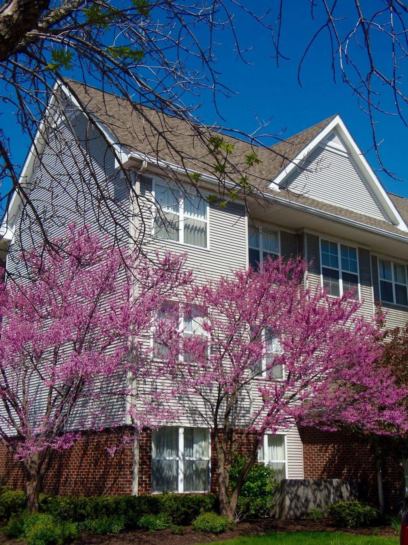 Residence Inn Indianapolis Airport Екстериор снимка